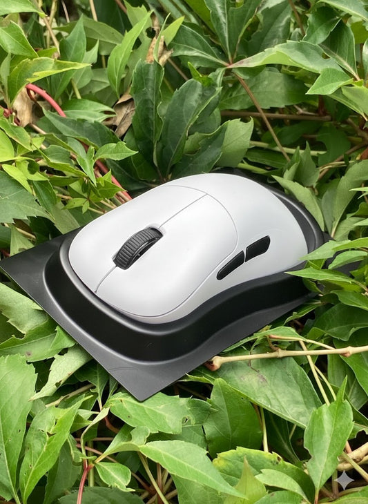 Do All Mice Let You Disable Acceleration? - RAWM GAMING